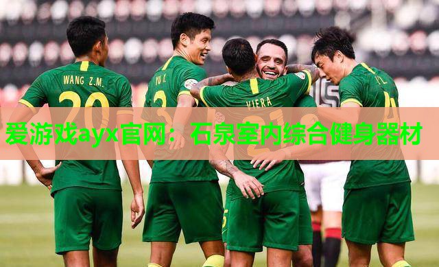 爱游戏ayx官网：石泉室内综合健身器材