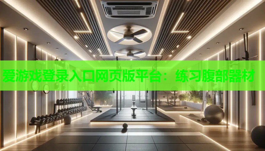 爱游戏登录入口网页版平台：练习腹部器材