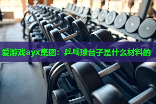 爱游戏ayx集团：乒乓球台子是什么材料的