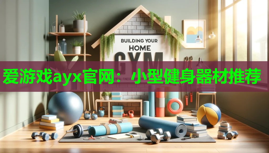爱游戏ayx官网：小型健身器材推荐