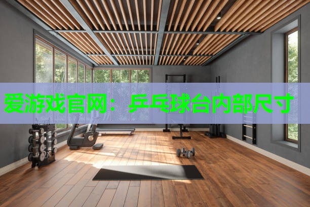 爱游戏官网：乒乓球台内部尺寸