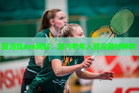 爱游戏ayx网站：室内老年人健身器材种类
