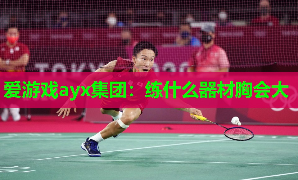 爱游戏ayx集团：练什么器材胸会大