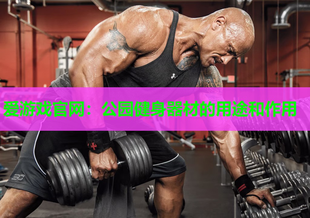 爱游戏官网：公园健身器材的用途和作用