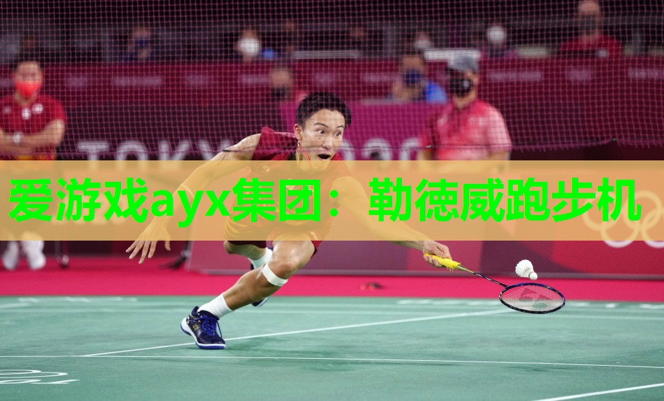 爱游戏ayx集团：勒徳威跑步机