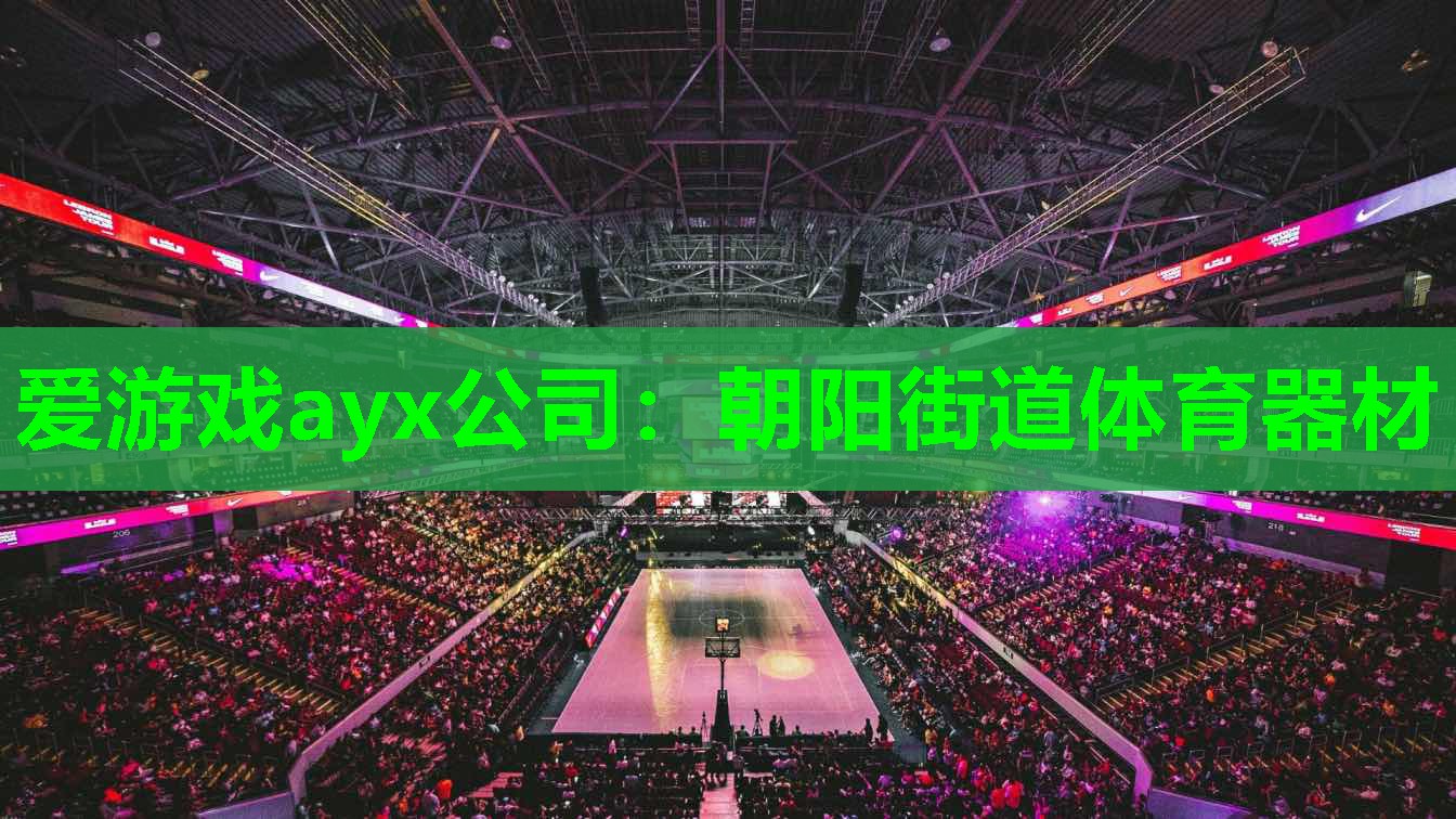 爱游戏ayx公司：朝阳街道体育器材