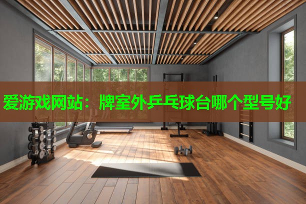 爱游戏网站：牌室外乒乓球台哪个型号好