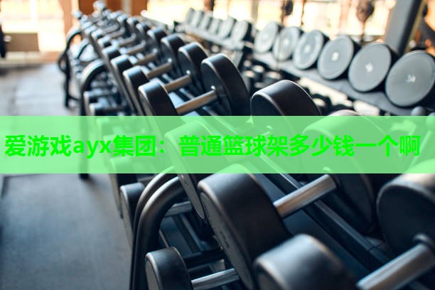 爱游戏ayx集团：普通篮球架多少钱一个啊