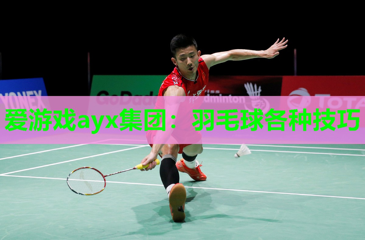 爱游戏ayx集团：羽毛球各种技巧