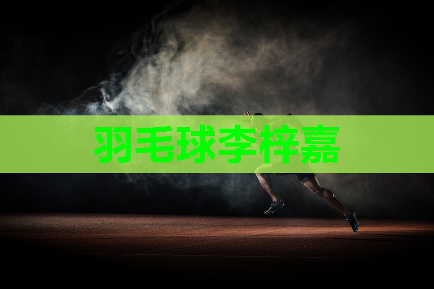 羽毛球李梓嘉