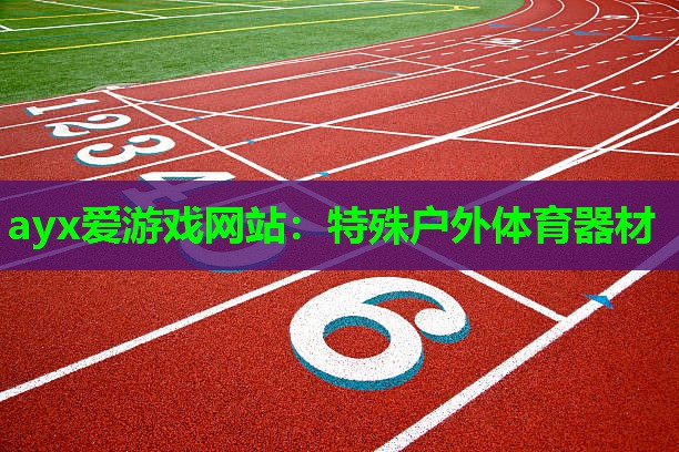 ayx爱游戏网站：特殊户外体育器材