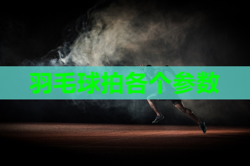 羽毛球拍各个参数