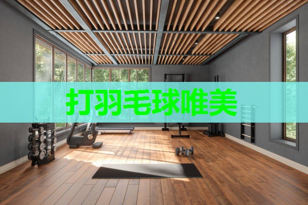 打羽毛球唯美