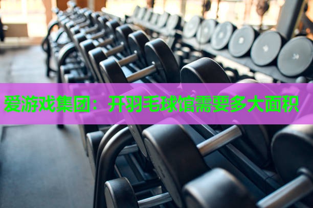 爱游戏集团：开羽毛球馆需要多大面积