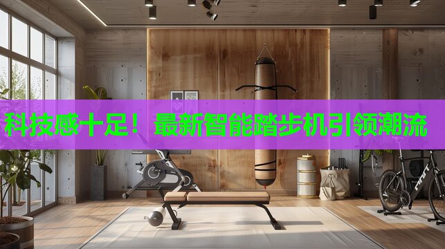 科技感十足！最新智能踏步机引领潮流