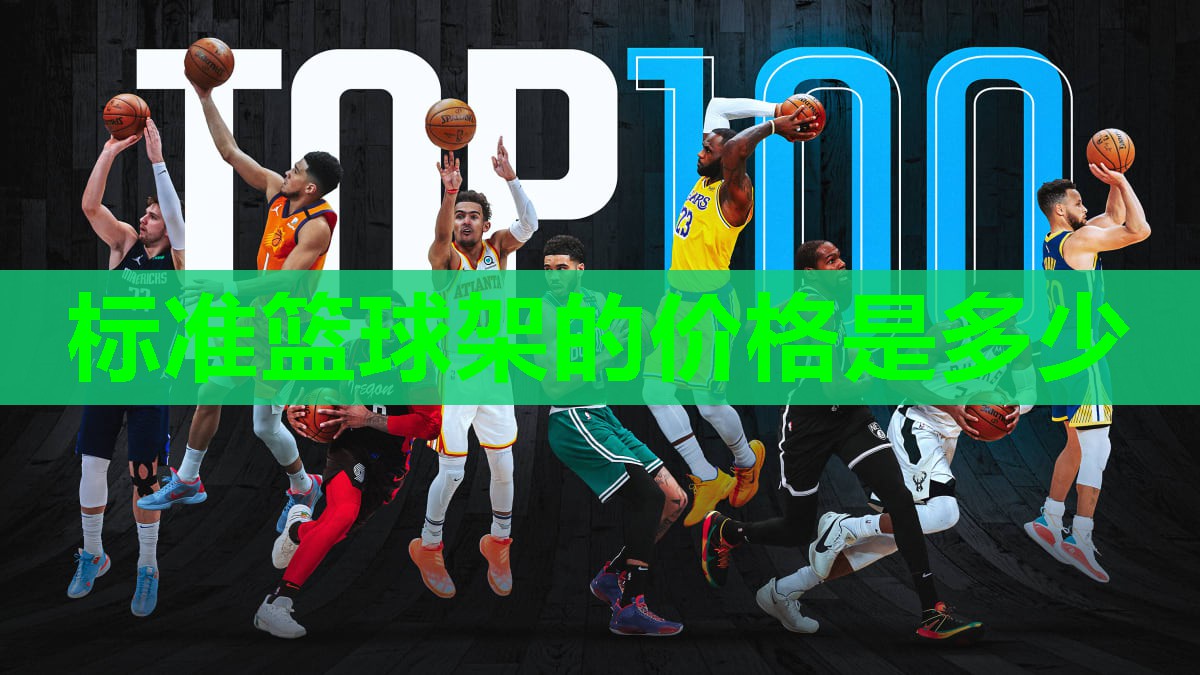 标准篮球架的价格是多少