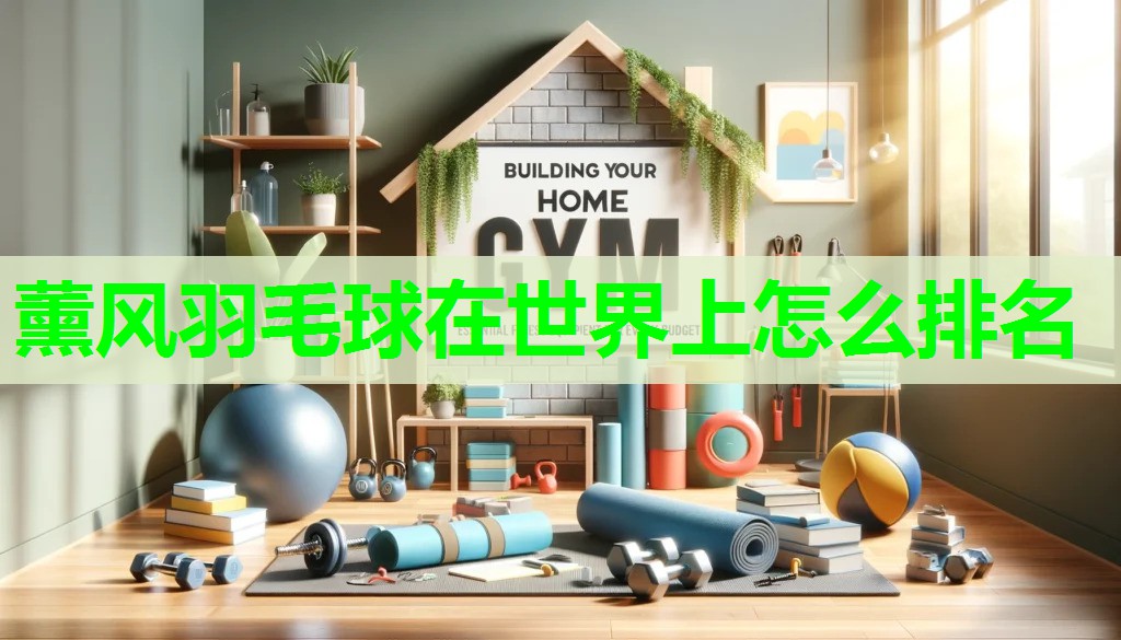 薰风羽毛球在世界上怎么排名