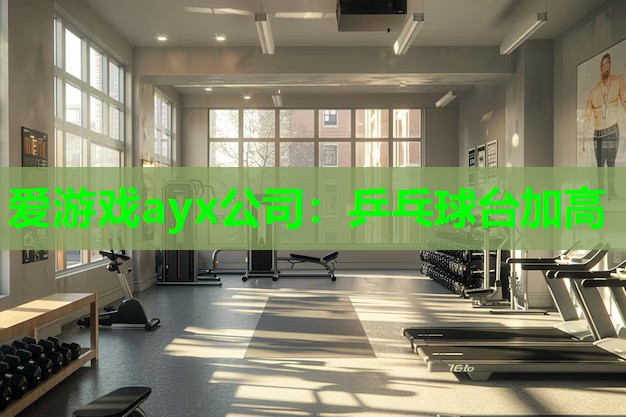 乒乓球台加高