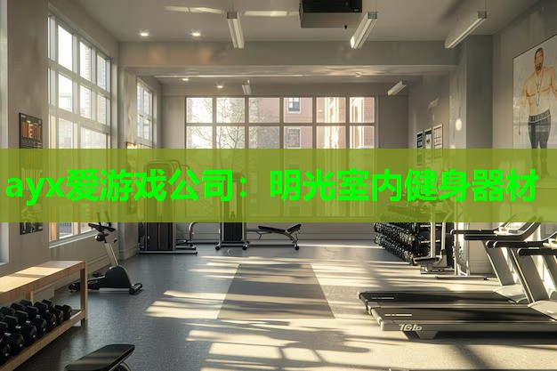 明光室内健身器材