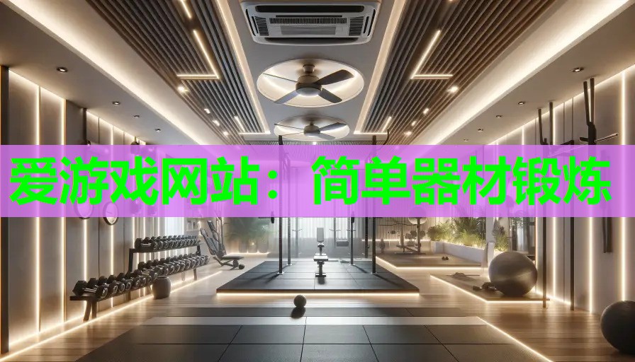 简单器材锻炼