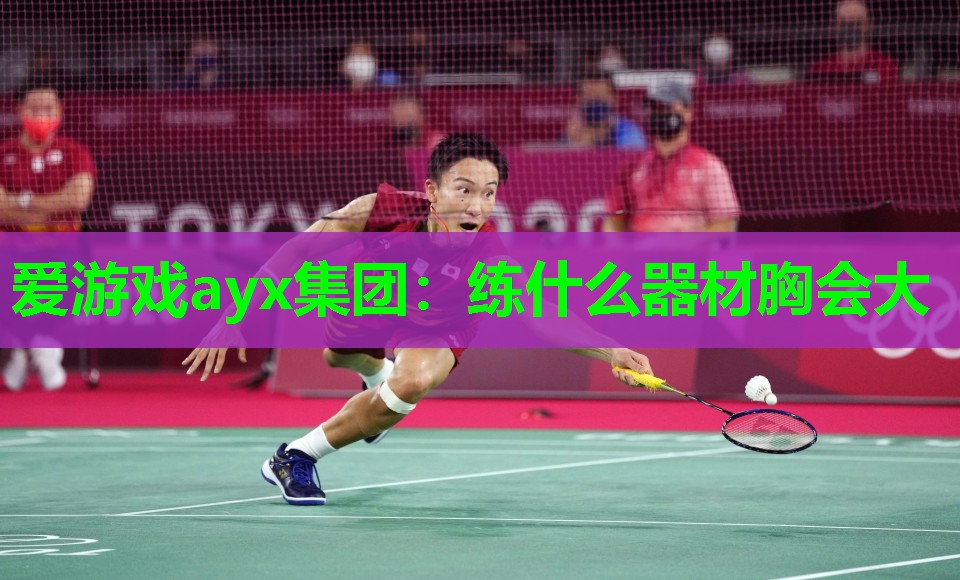 练什么器材胸会大