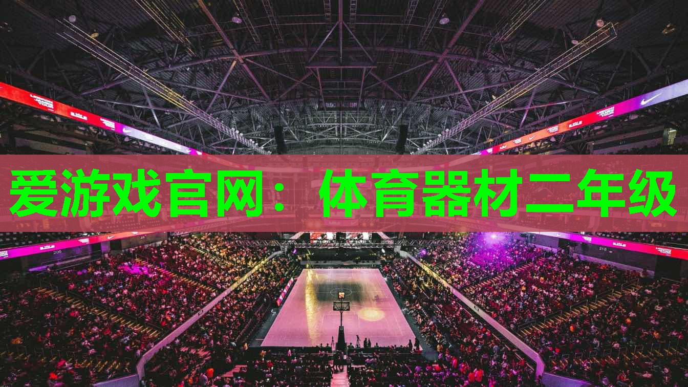 体育器材二年级