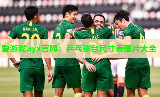 乒乓球台尺寸表图片大全