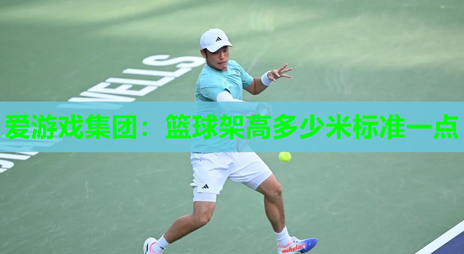 篮球架高多少米标准一点
