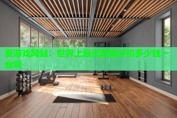 世界上最贵的跑步机多少钱一台啊
