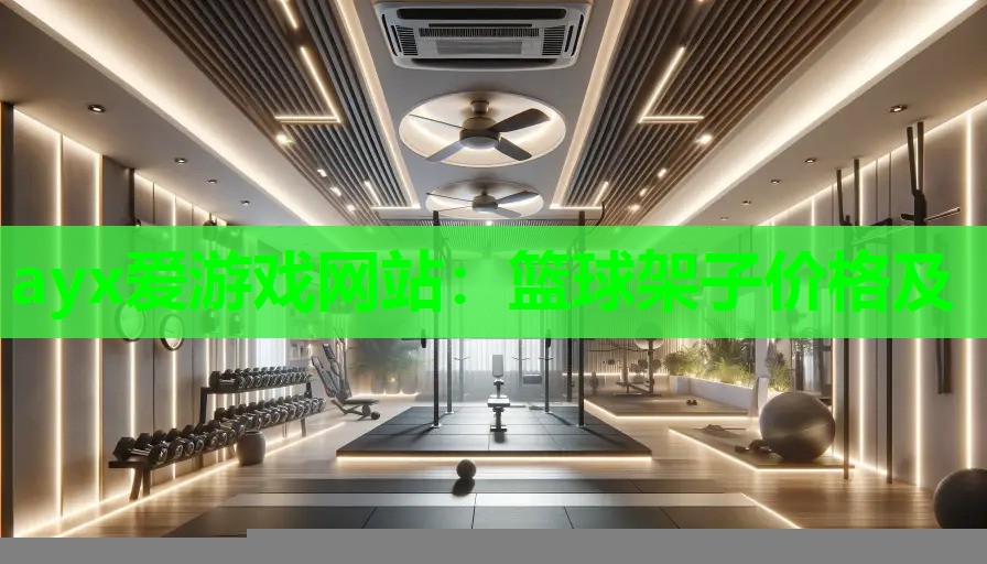 篮球架子价格及