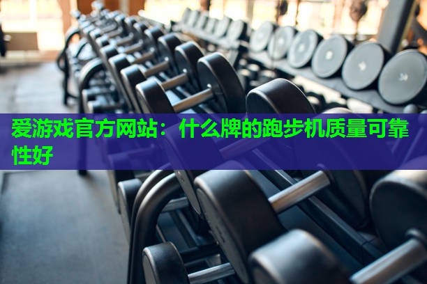什么牌的跑步机质量可靠性好