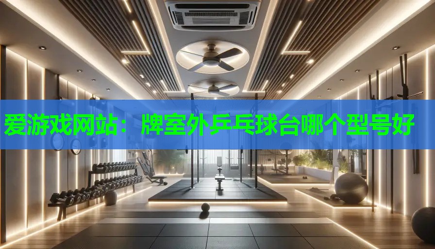 牌室外乒乓球台哪个型号好