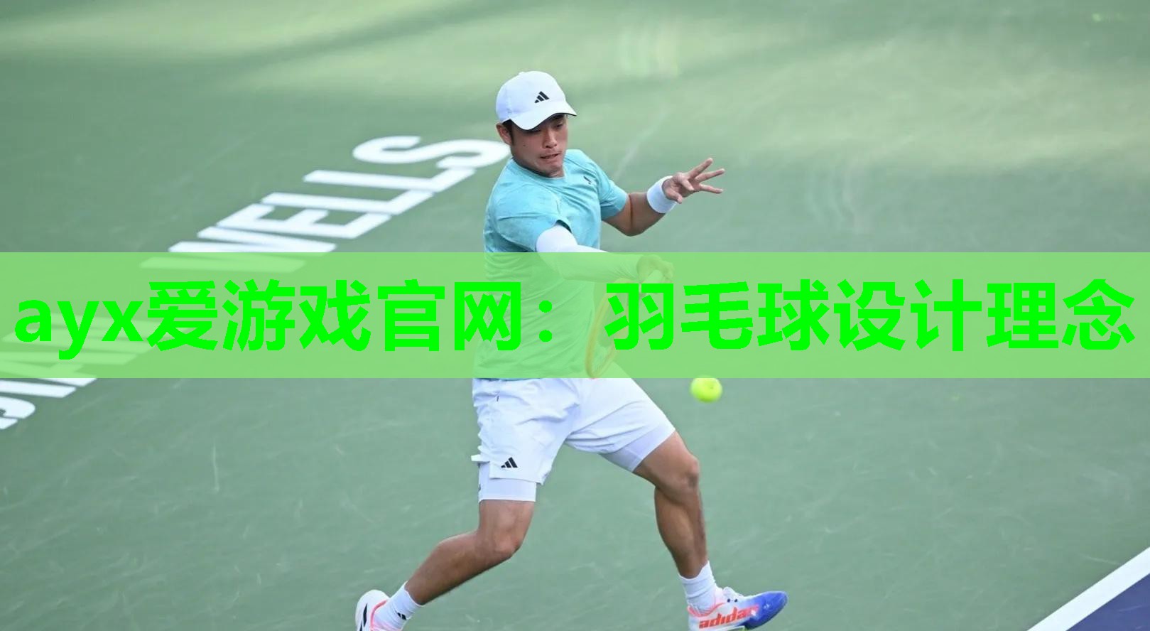 羽毛球设计理念