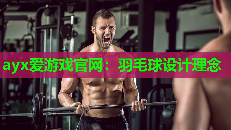 羽毛球设计理念