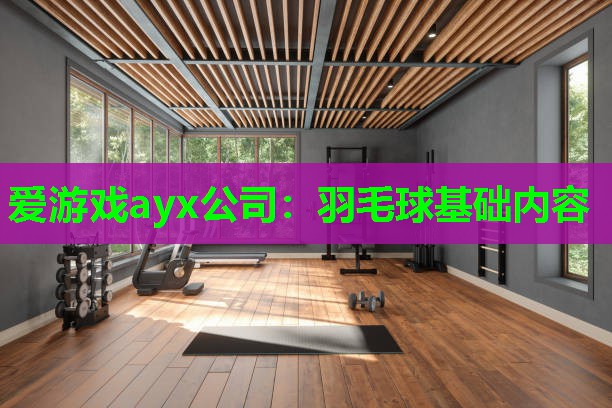 羽毛球基础内容