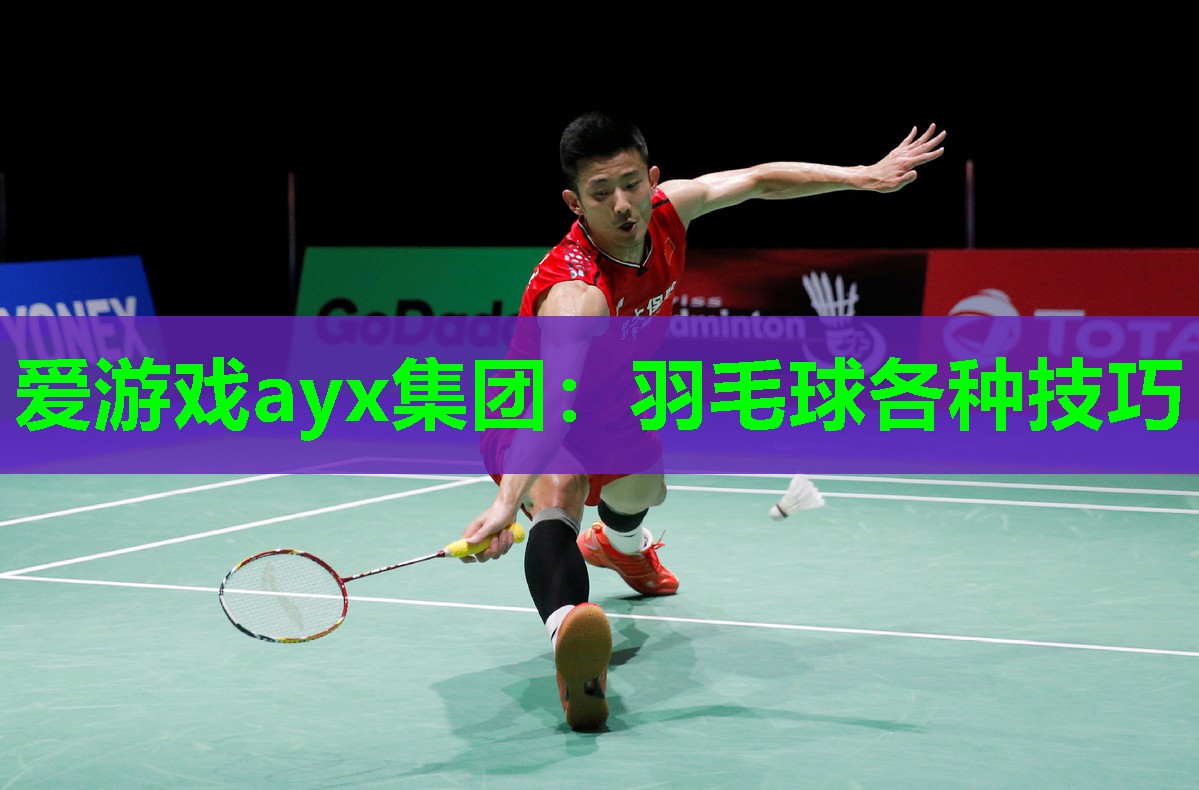 羽毛球各种技巧
