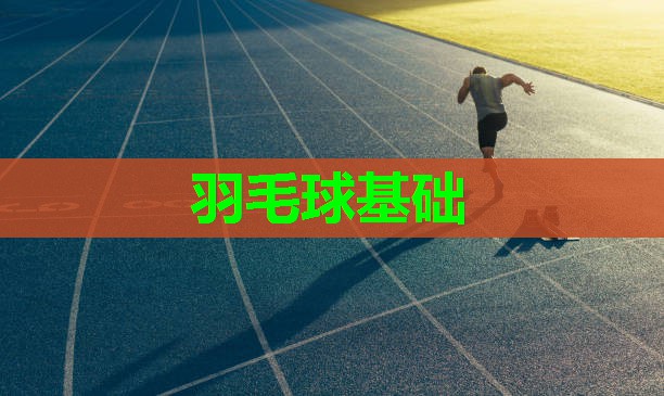 羽毛球基础