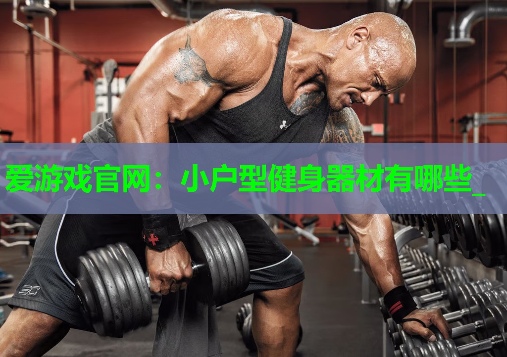 小户型健身器材有哪些_
