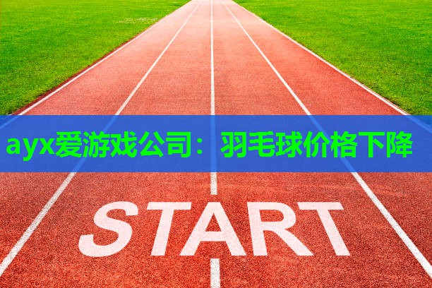 羽毛球价格下降
