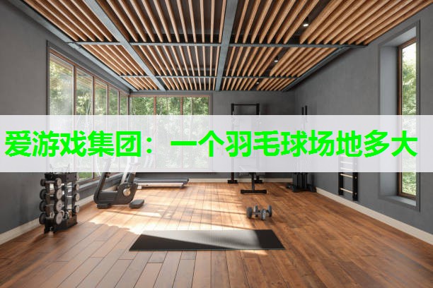 一个羽毛球场地多大