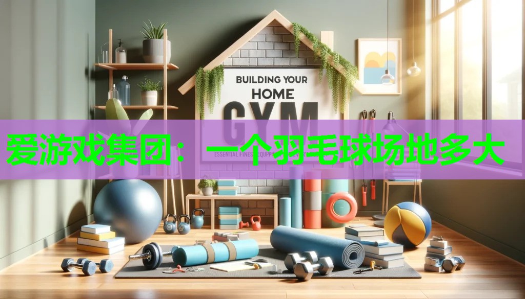 一个羽毛球场地多大