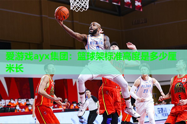 篮球架标准高度是多少厘米长