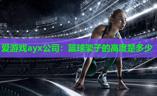 篮球架子的高度是多少
