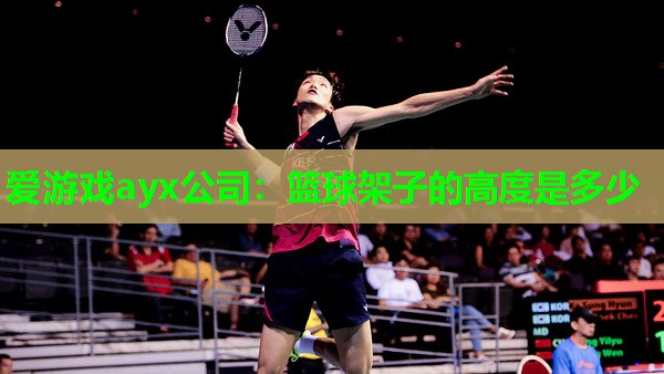 篮球架子的高度是多少
