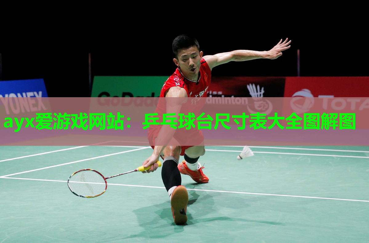 乒乓球台尺寸表大全图解图