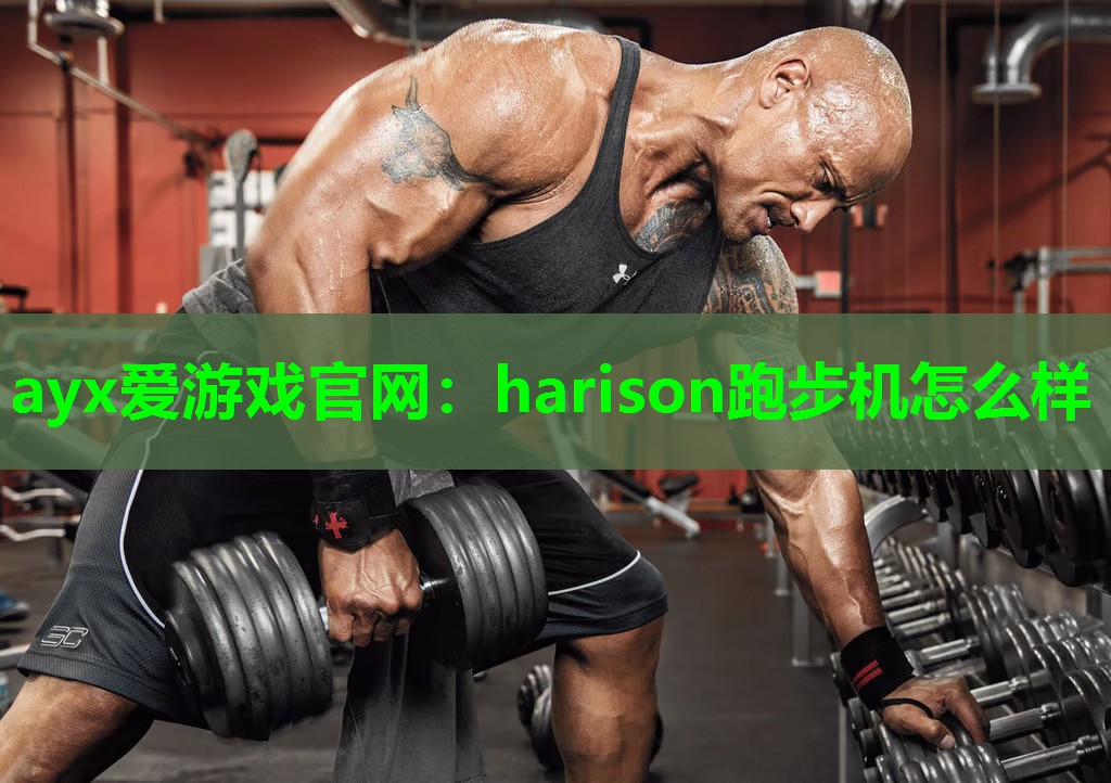 harison跑步机怎么样