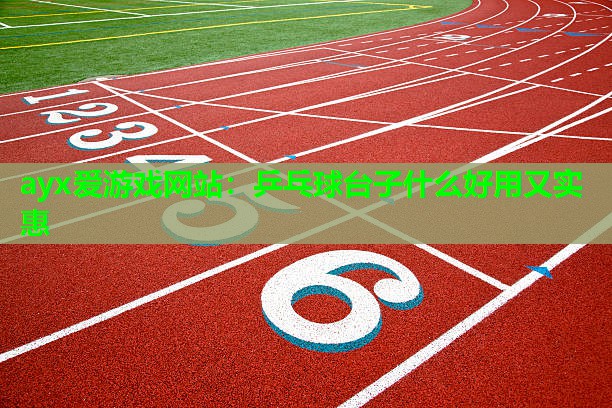 乒乓球台子什么好用又实惠