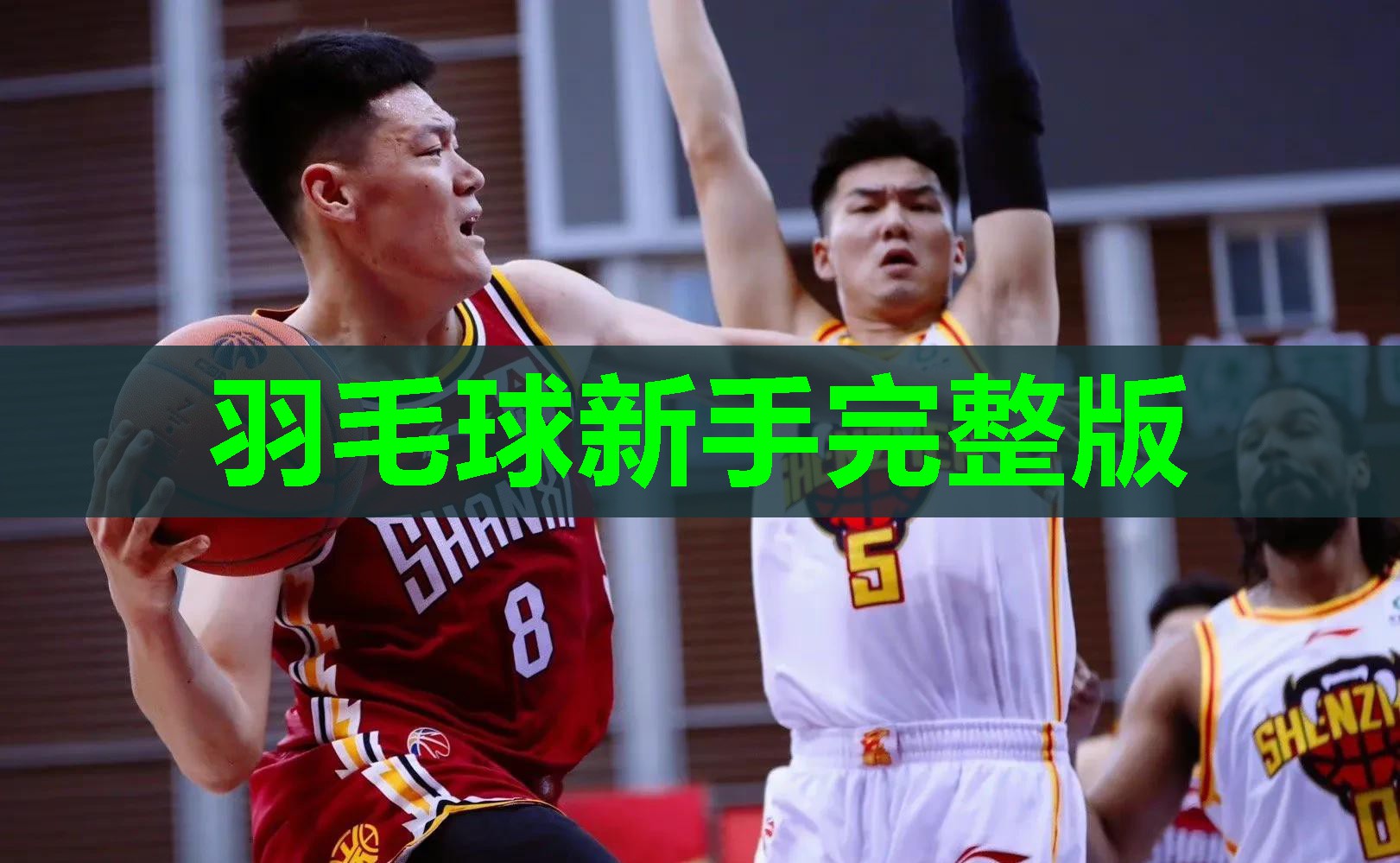 羽毛球新手完整版