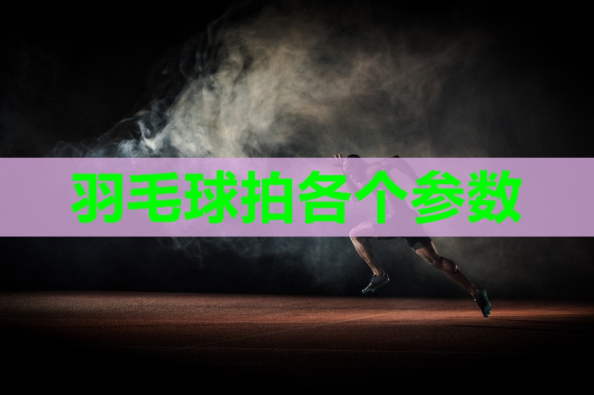 羽毛球拍各个参数