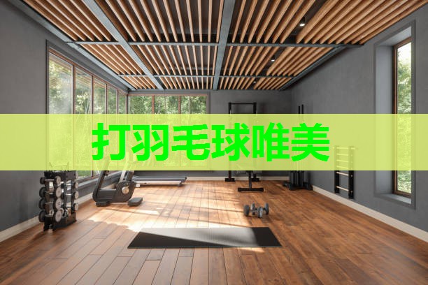 打羽毛球唯美
